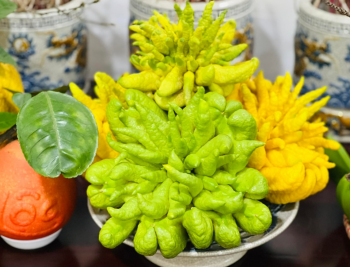 Quả Phật Thủ là gì